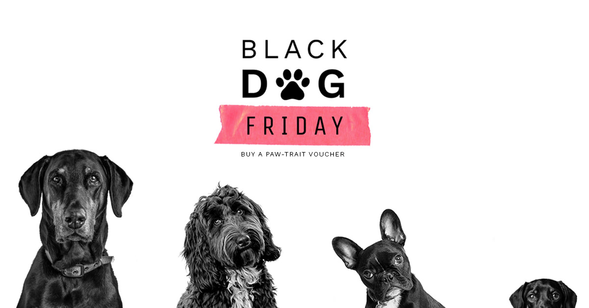 Black Dog Friday Day Four offer The Artful Dog Studio