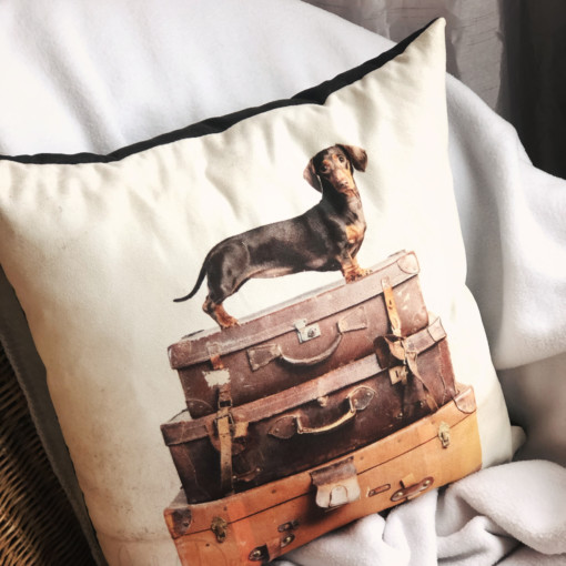BOGOF Photoshoot Experience + Luxury Cushion