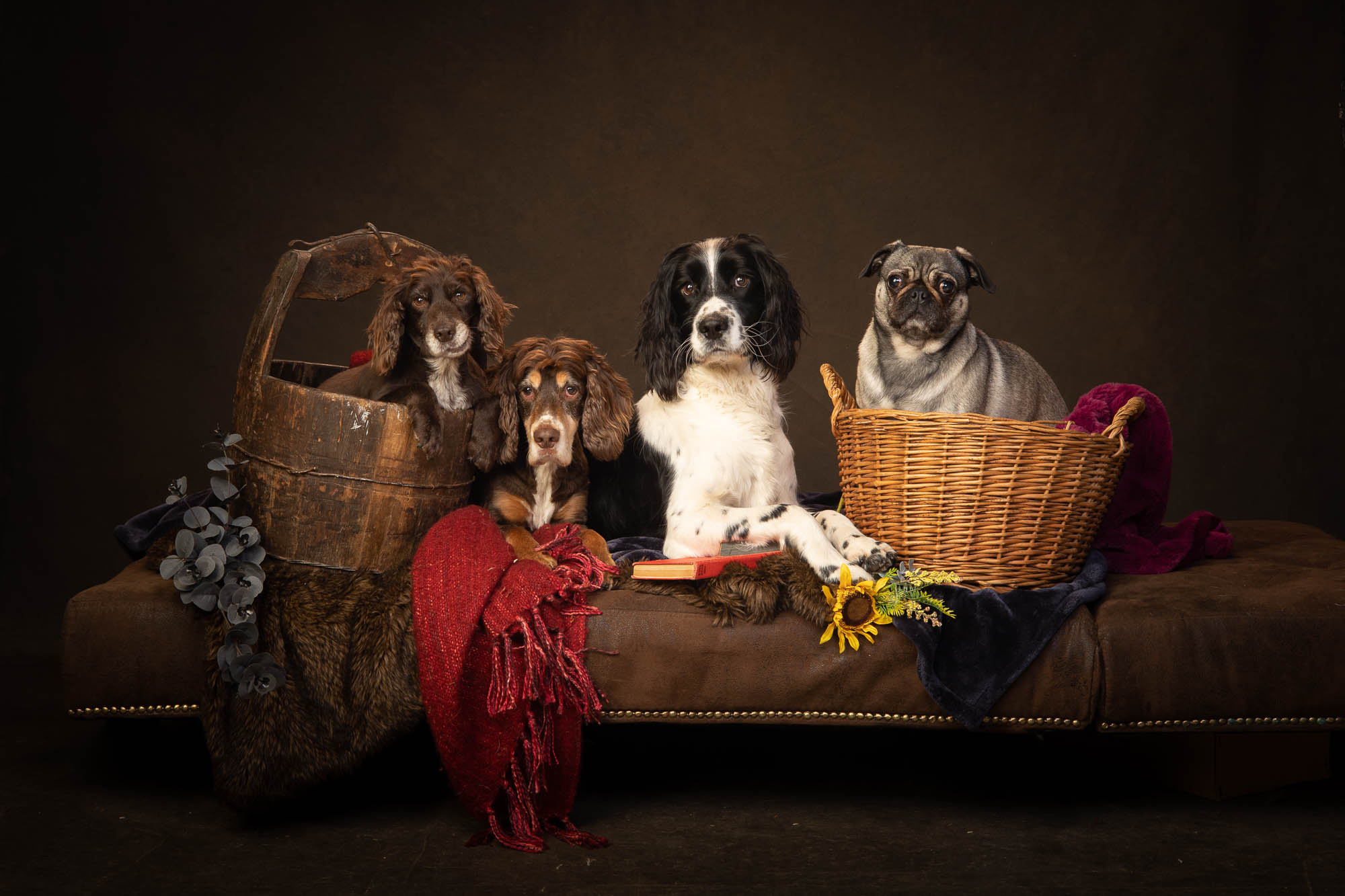 The Artful Dog Studio