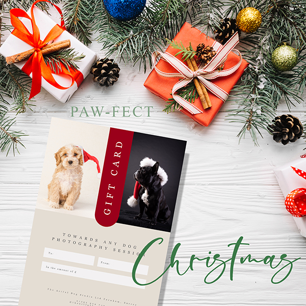 Photo-shoot to include a Wall Frame