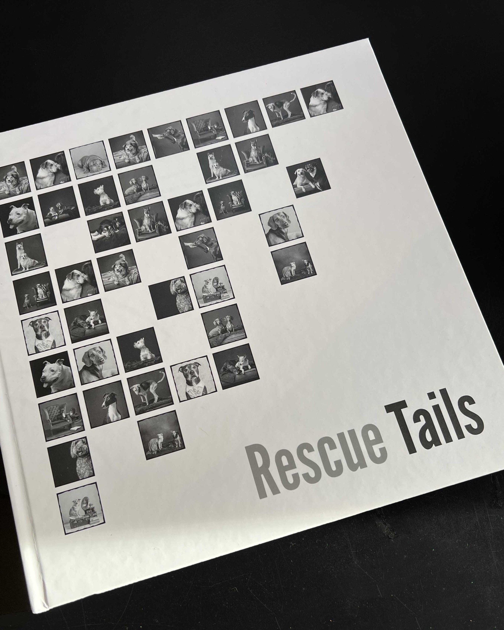 Rescue tails2